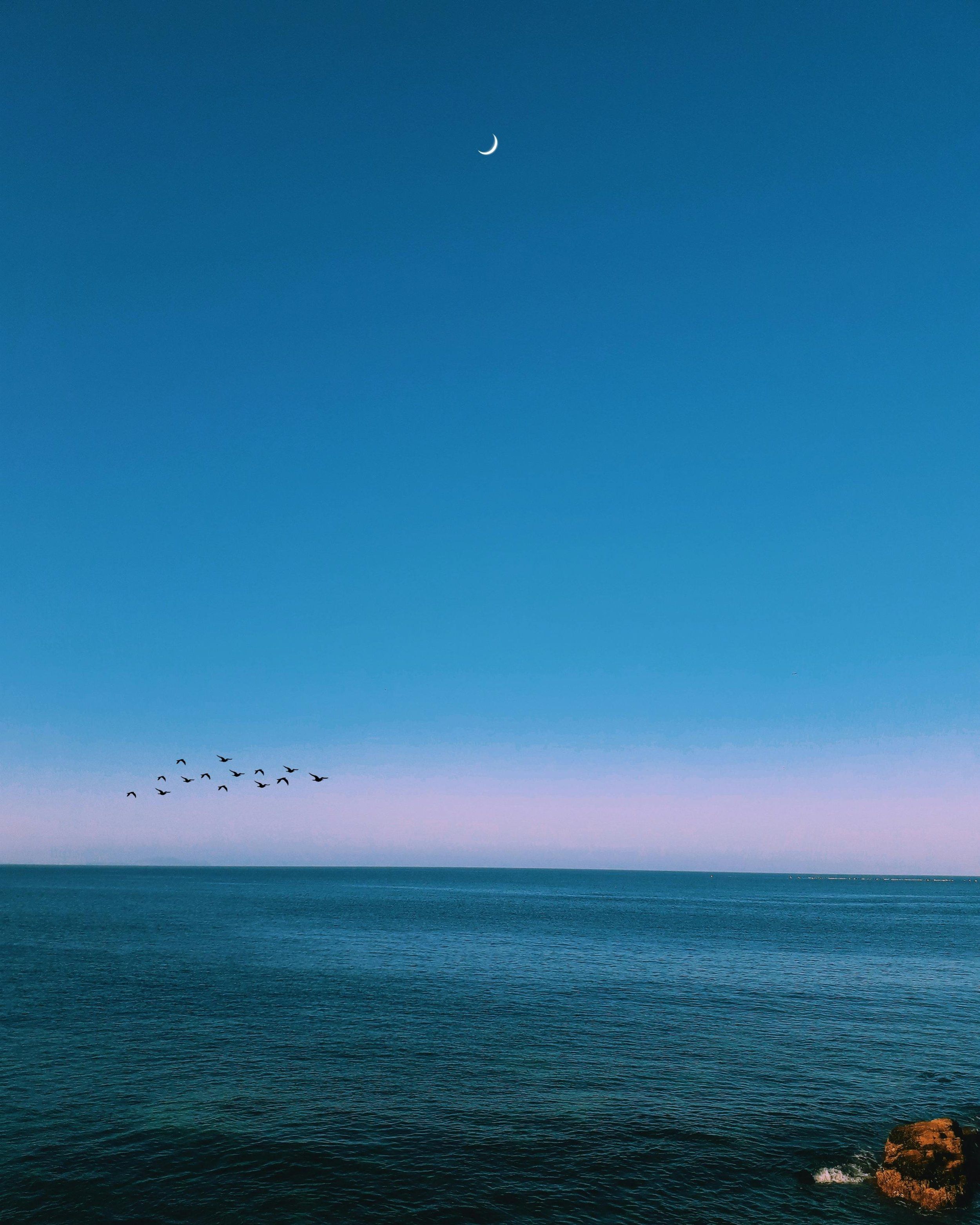 Open sea under a clear sky with a crescent moon and a flock of birds